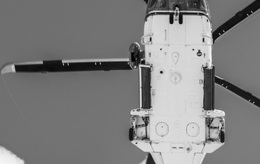 Photo of an Suriname