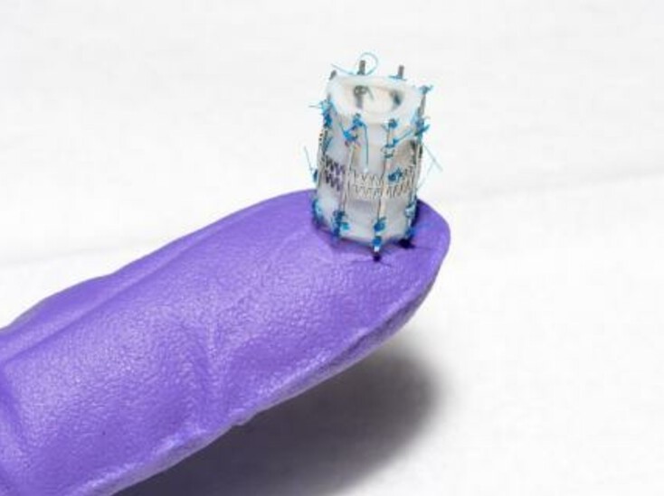 Draper's Low-force Expanding/ Adaptable Pediatric (LEAP) Valve is a pediatric heart valve that adapts to a child’s growth, the first of its kind.