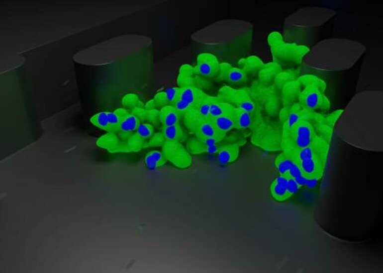 Modified immune cells introduced to a tumor using Draper's EVIDENT device.