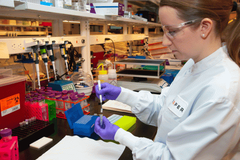 Draper engineers Erin Rosenberger (pictured) and Laura Seaman joined representatives of IARPA and Ginkgo Bioworks at a recent press conference to present newly developed capabilities in biosecurity that are designed to detect biologically engineered DNA. Credit: Draper.