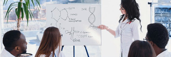 employees discussing with whiteboard 