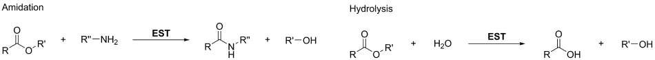 Codex Esterase Screening Kit