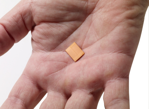 Intel® Xeon® processor D die (Photo: Business Wire)
