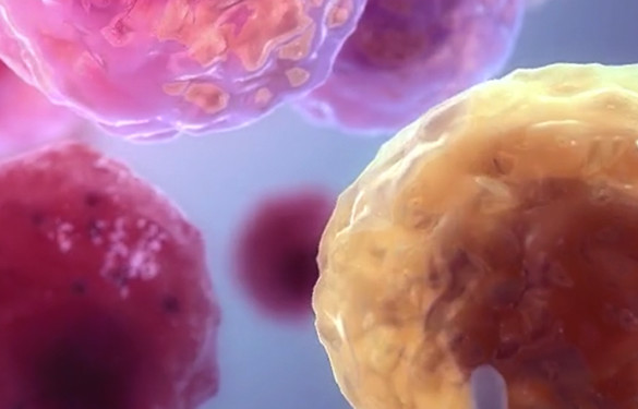 <p>Triggering cell death</p>