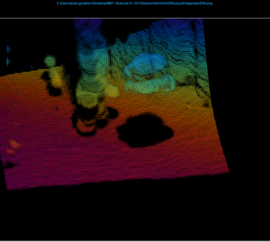 Diver Inspection, Safety and Support