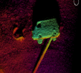 Search and Rescue/Recovery