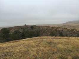 An image thumbnail for the following media post.