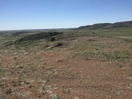 An image thumbnail for the following media post.