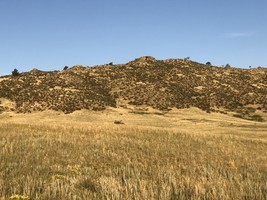 An image thumbnail for the following media post.