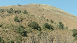 An image thumbnail for the following media post.