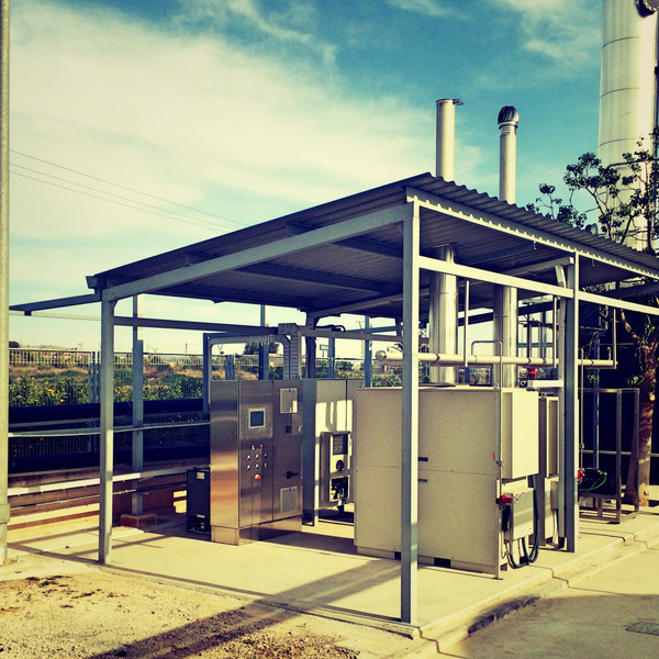 EDARI Estrella Levante 