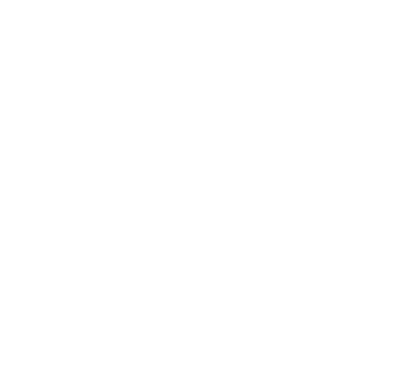 tailwind international