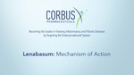 Mechanism of Action Video of Lenabasum Mechanism of Action Video of Lenabasum
