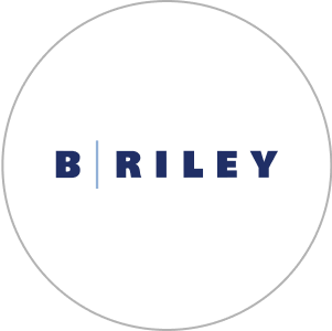 B Riley logo