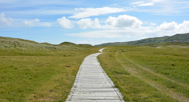 The Benefits of Nature for Your Mental Health