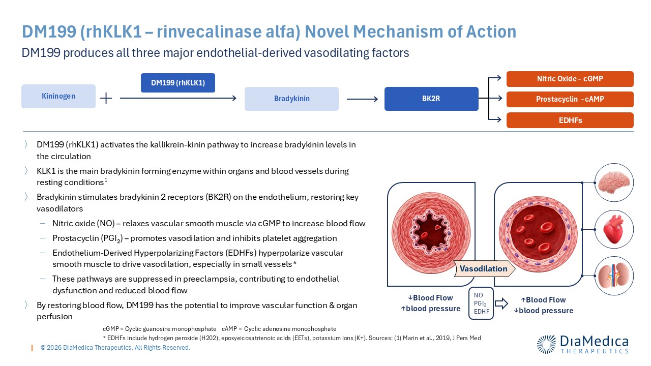 DM199_MOA_Slide_Update.jpg