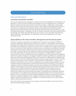 Audit Committee Report