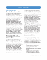 Audit Committee Report