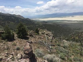 An image thumbnail for the following media post.