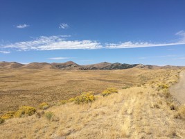 An image thumbnail for the following media post.