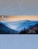 Year End Results