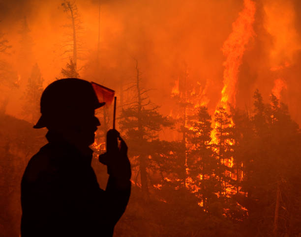 Profile photo of a wildfire firefighter.
