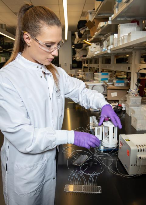 “The main advantage to EVIDENT is speed and throughput, since we obtain an answer in seven days as compared to six weeks in a mouse, and we can run 12 experiments in EVIDENT versus one in a mouse." said Draper bio engineer Vienna Mott. Credit: Draper.
