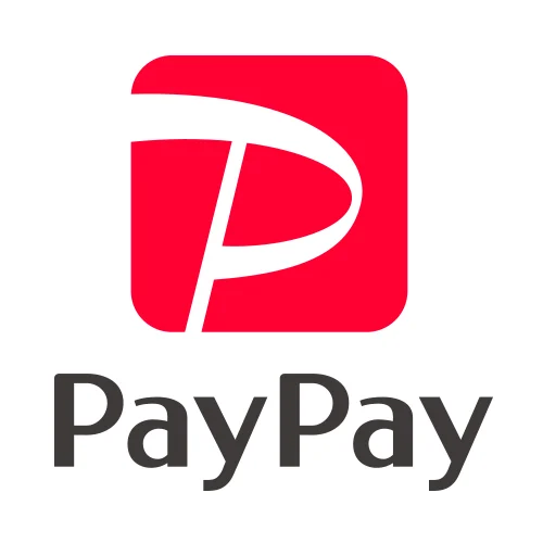 PAYPAY CORP