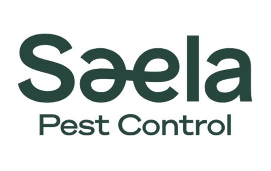 Saela