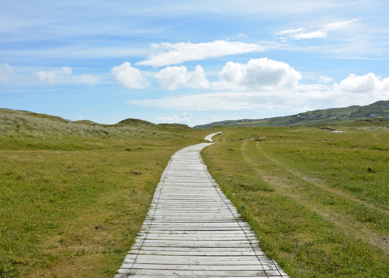 The Benefits of Nature for Your Mental Health