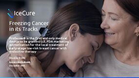 Company Presentation