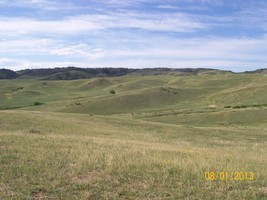 An image thumbnail for the following media post.