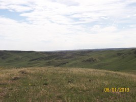 An image thumbnail for the following media post.