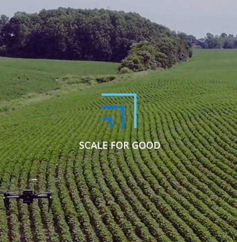 Scale for Good