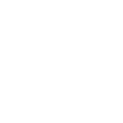 Cybersecurity and Information Security Icon