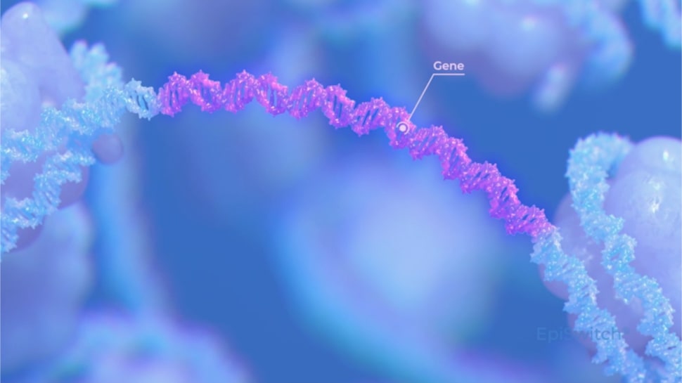 EpiSwitch® platform