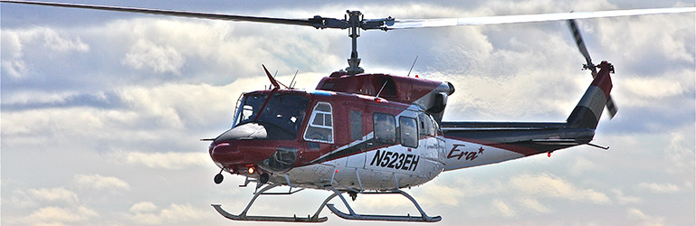 Bell 212