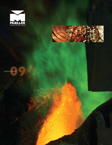 2009 Annual Report