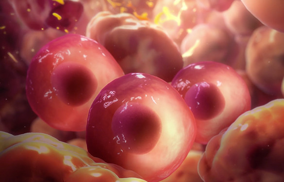 <p>Controlling cancer cell migration</p>