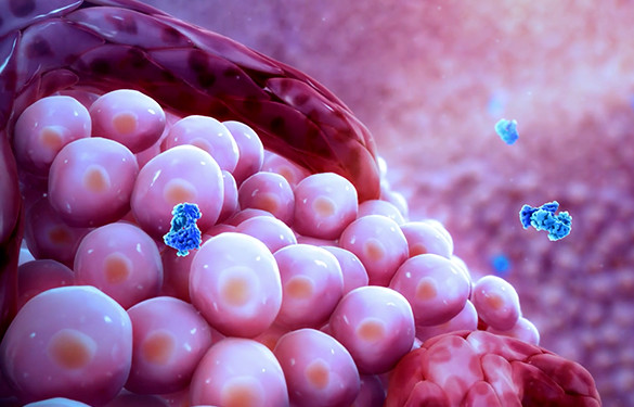 <p>Enhancing the body&rsquo;s own immune system</p>