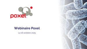 Présentation des résultats annuels 2024