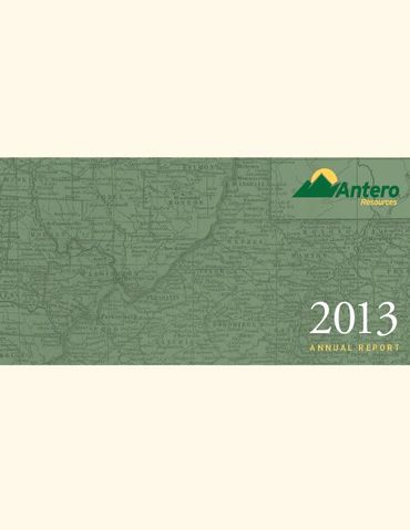 2013 Annual Report