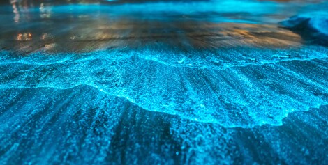 Brunswick Corporation Surpasses 10,000 Ripl Members Cultivating an Active Digital Community for Boaters to Connect