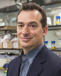 Dr. Mark Bagarazzi