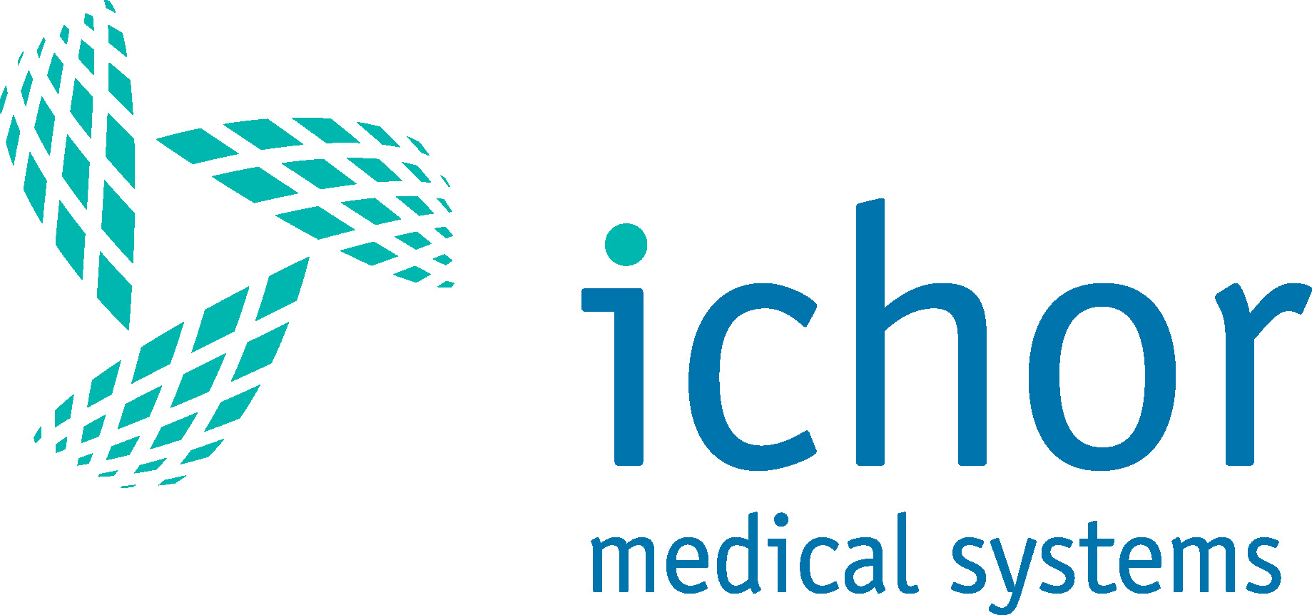 Ichor Medical Systems