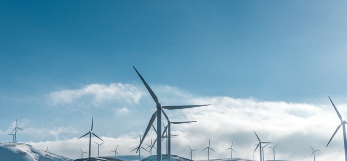 The Role of Public Finance in Sustainable Development and Environmental Initiatives