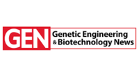 CAR T-Cell Therapy: New Advances Move On Past Setbacks