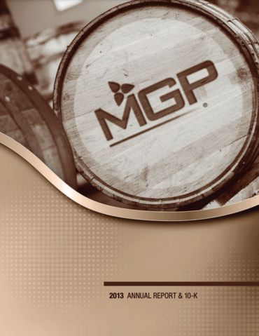 2013 Annual Report