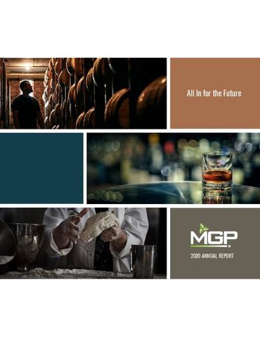 2020 Annual Report