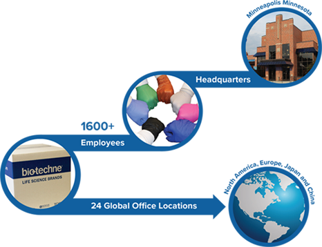 Company Profile